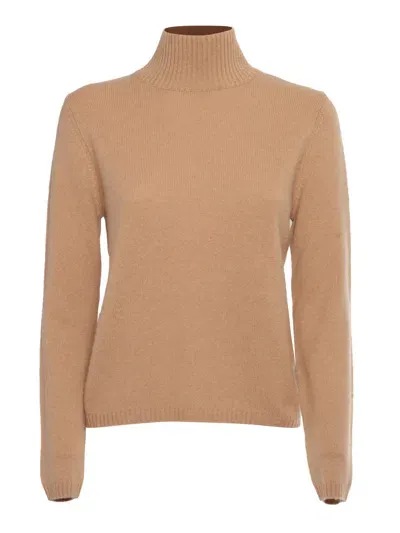 Kangra Regular Fit Turtleneck Sweater In Brown