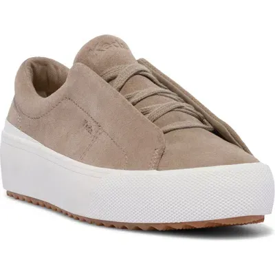 Keds ® Remi Platform Sneaker In Medium Beige Suede