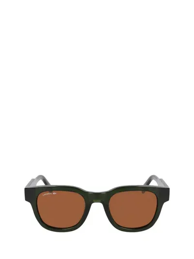 Lacoste Sunglasses In Brown