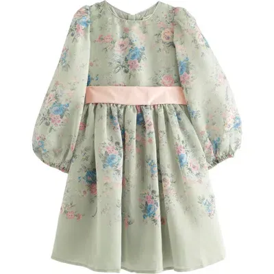 Laura Ashley Kids' Romantic Rose Floral Long Sleeve Organza Dress In Duck Egg