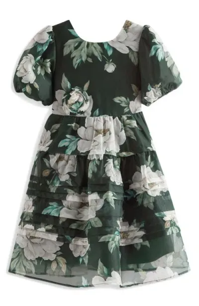 Laura Ashley Kids' Wisely Puff Sleeve Organza Party Dress In Green