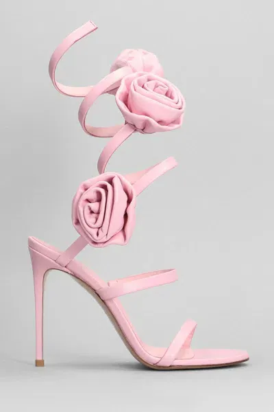 Le Silla Rose-appliqué Spiral Sandals In Pink