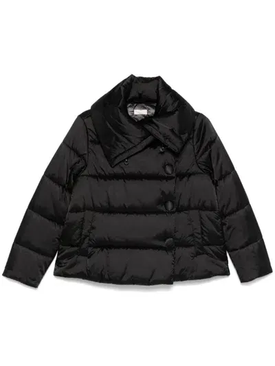 Liu •jo Quilted Padded Jacket In Black