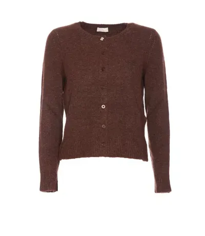 Liu •jo Liu Jo Sweaters In Brown