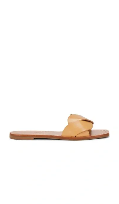 Loeffler Randall Willajo Sandal In Honey