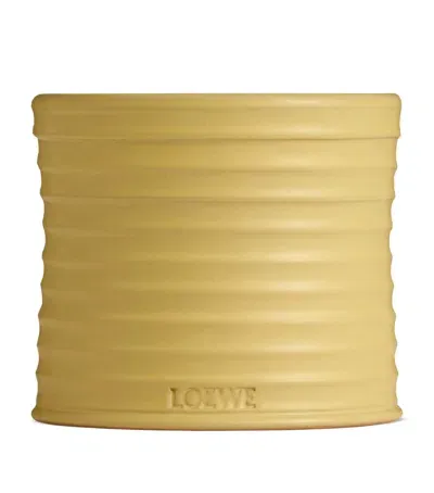 Loewe Honeysuckle Candle In Yellow