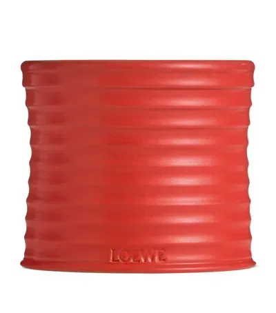 Loewe Medium Tomato Leaves Candle In Red