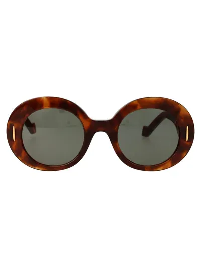 Loewe Round Sunglasses Lw40146 I 53 N In Brown