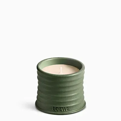 Loewe Shent Of Marihuana Green Small Candle