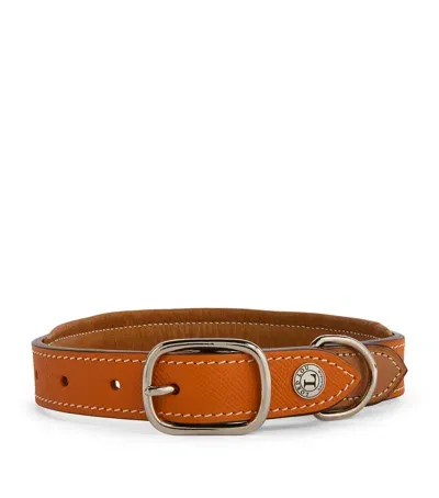 Lord Lou Leather Ascot Dog Collar In Orange