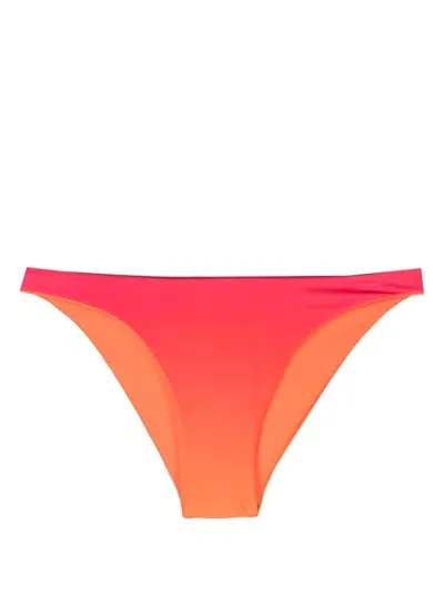 Louisa Ballou Multicoloured Bikini Briefs In Multicolore