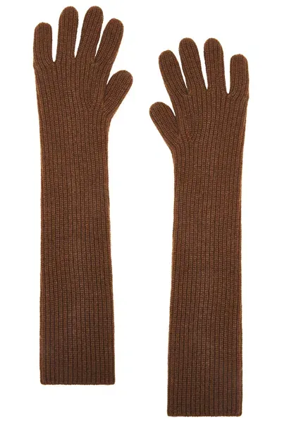 Loulou Studio Milos Cashmere Gloves In Mocha