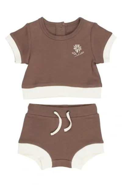 L'ovedbaby Kids'  Embroidered Organic Cotton T-shirt & Shorts Set In Latte Flower