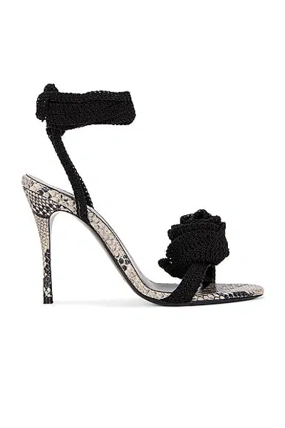 Magda Butrym Python Flower Pump In Black