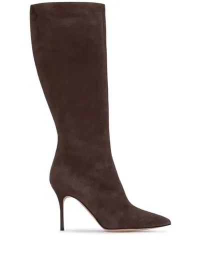 Manolo Blahnik Pointed In Brown