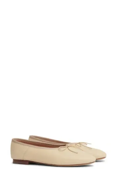 Mansur Gavriel Dream Ballerina Flat In Dune