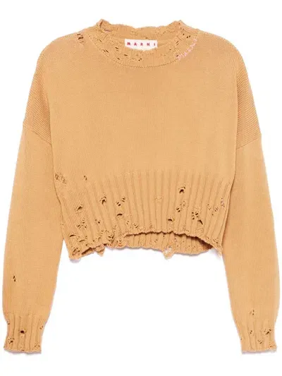 Marni Cropped Sweater In Brown