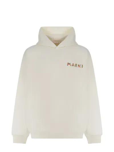 Marni Hooded Sweatshirt  In Neutrals