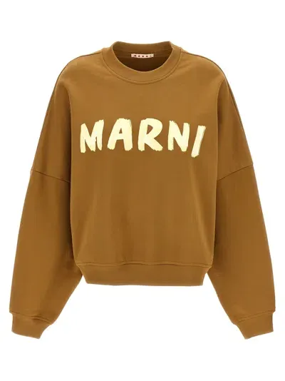 Marni Logo-print Cotton Sweatshirt In Cream