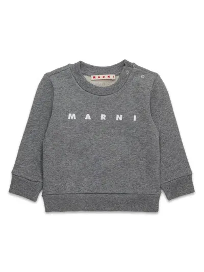 Marni Babies' Logo-print Sweatshirt In Grey