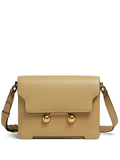 Marni Medium Trunkaroo Crossbody Bag In Brown