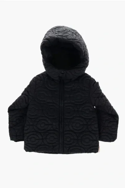 Marni Quilted Nylon Padded Jacket In Black