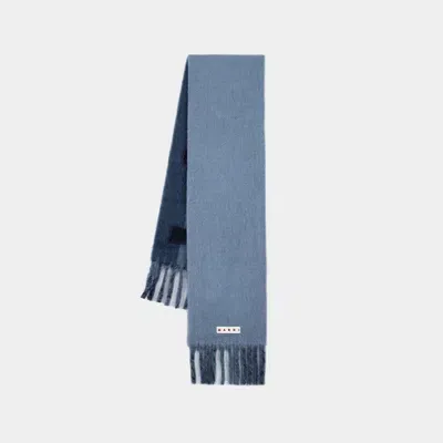 Marni Scarf -  - Wool - Blue