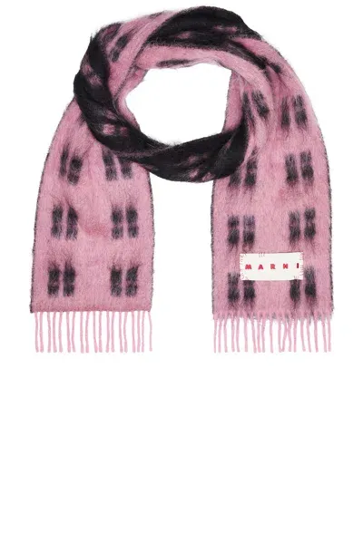 Marni Scarf In Antique Rose