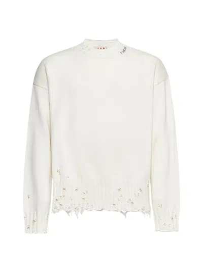 Marni Sweater In Lily White