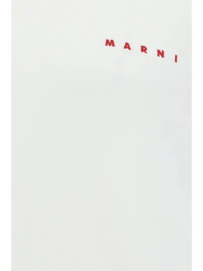 Marni Sweatshirt In Natural White