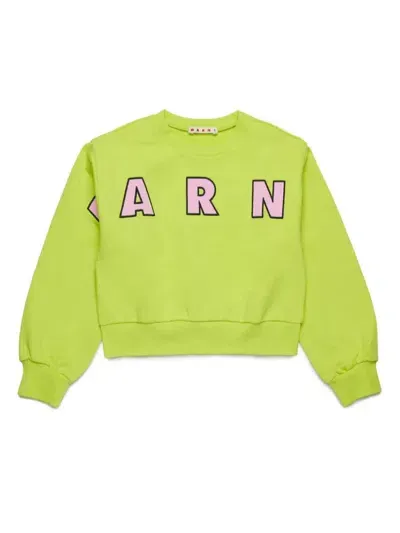 Marni Kids' Logo-print Cotton Sweatshirt In Grün