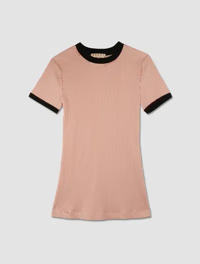 Marni T-shirt In Antique Rose