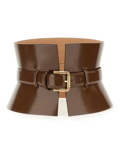 Max Mara Bustier Belt In Brown