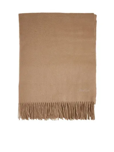 Max Mara Cashmere Stole With Embroidery In Brown