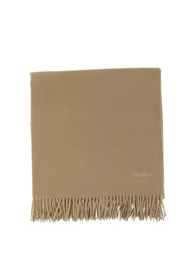 Max Mara Cashmere Stole With Embroidery Scarves In Brown