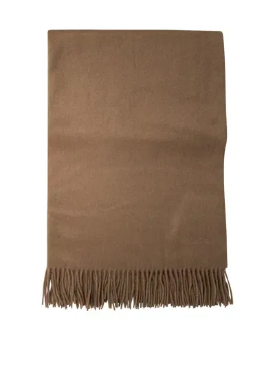 Max Mara Cashmere Stole With Embroidery Scarves In Brown