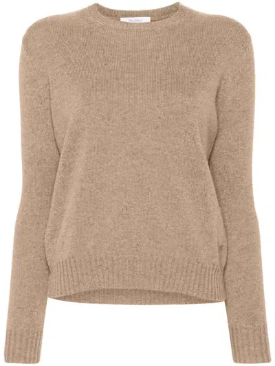 Max Mara Cashmere Sweater In Brown