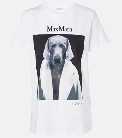 Max Mara Cipria Printed Cotton Jersey T-shirt In White,vanilla