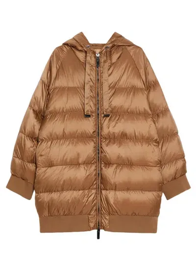 Max Mara Coats Brown