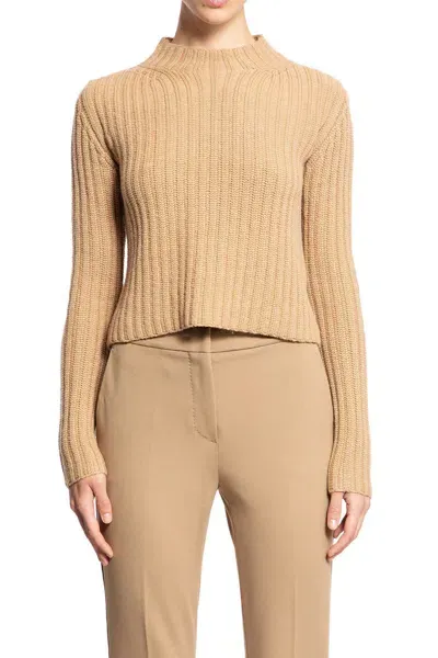 Max Mara Crewneck In Brown