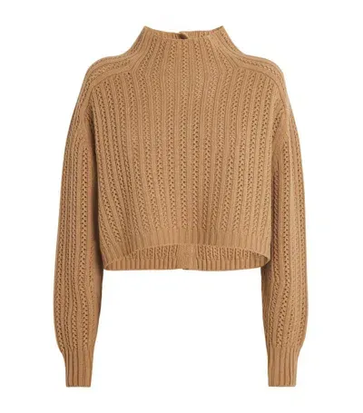 Max Mara Cropped Back-buttoned Sweater In Camel