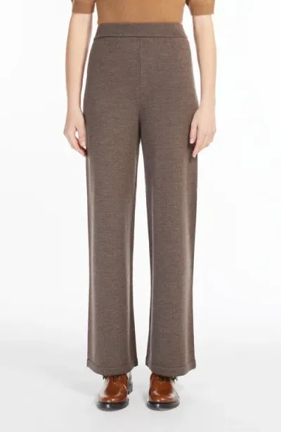 Max Mara Epopea Virgin Wool Sweater Pants In Hazelnut Brown