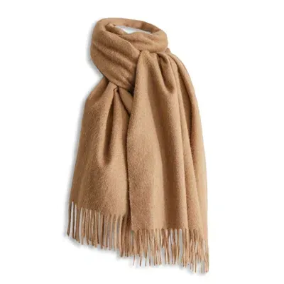 Max Mara Fringed Edge Scarf In Brown