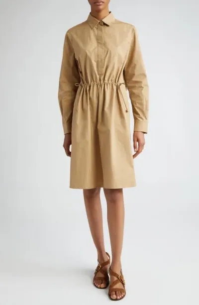 Max Mara Juanita Cinch Waist Long Sleeve Poplin Shirtdress In Clay