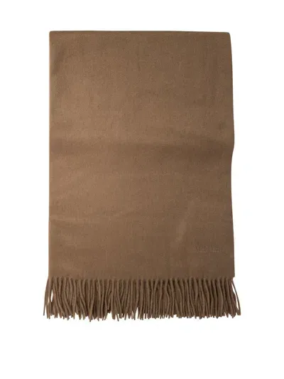 Max Mara Logo Embroidered Fringed Edge Scarf In Brown