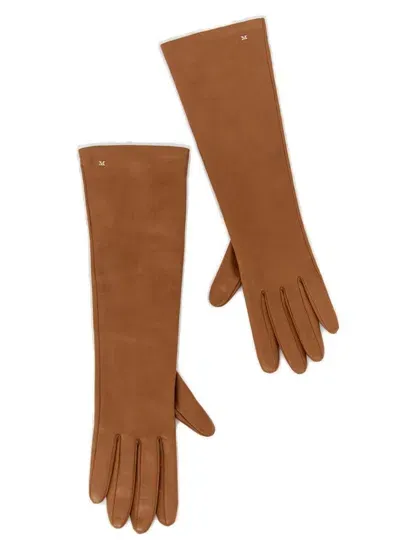 Max Mara Logo Plaque Gloves In Brown