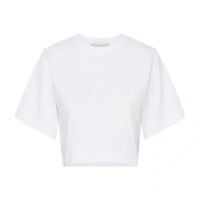 Max Mara Messico Cropped T-shirt In Bianco