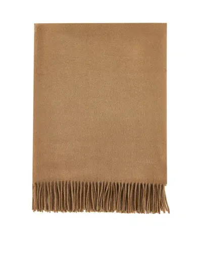 Max Mara Scarfs In Brown