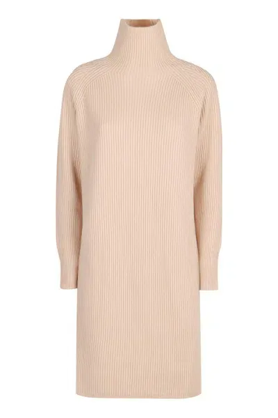 Max Mara Ebridi Cashmere Sweater-dress In Pink