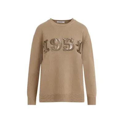 Max Mara Sweater In Brown